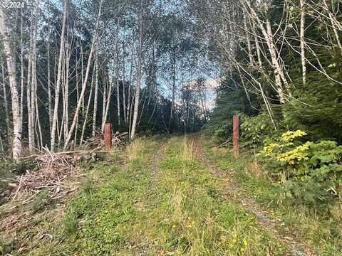 LOt 300 Raghorn RD, Seaside, OR 97138