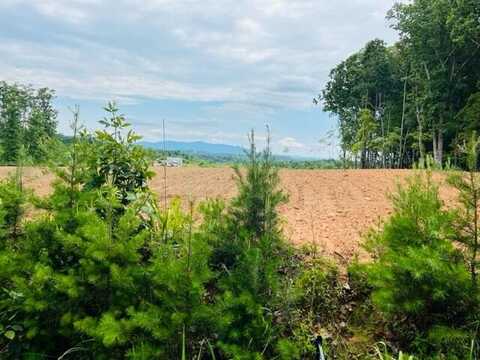 Lot 3 Crestridge RD, Bassett, VA 24055