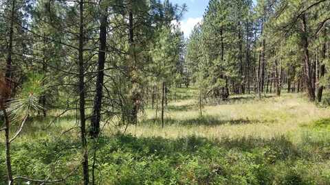 Lot 2 Glen Grove-Staley Rd, Deer Park, WA 99006