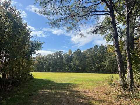 0 Independent School Rd, Reevesville, SC 29471