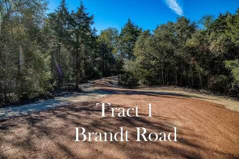 Tract 1 Brandt Road, Burton, TX 77835