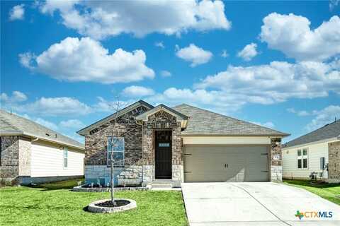 204 Low Bramble Drive, Hutto, TX 78634