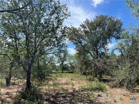 280 Brinley Mae Way, Lockhart, TX 78644