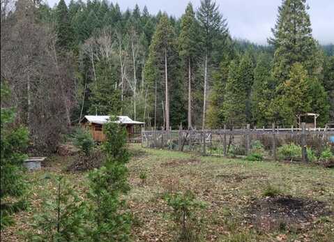 8565 Deer Creek Road, Selma, OR 97538