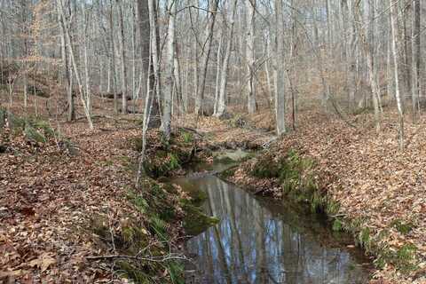 Eggbornsville Road, Rixeyville, VA 22737