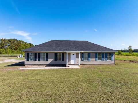 188 NW Lofton Rd, Mayo, FL 32066