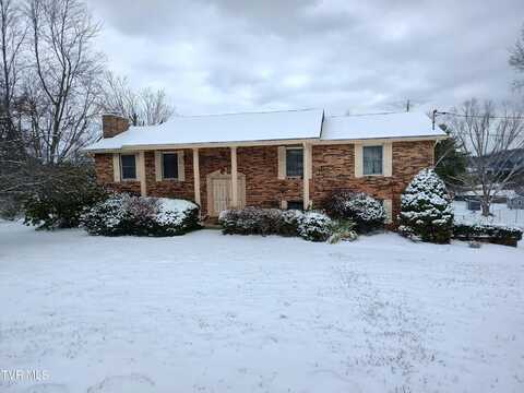 4828 Lake Park Court, Kingsport, TN 37664