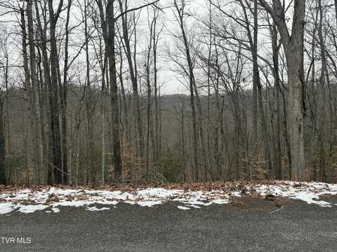 Tbd Lot 5 Skyline Drive, Bristol, TN 37620