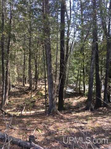 40 Acres Off Wide Waters, Amasa, MI 49902