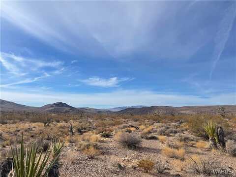 20565 N Wild Horse Drive, White Hills, AZ 86445