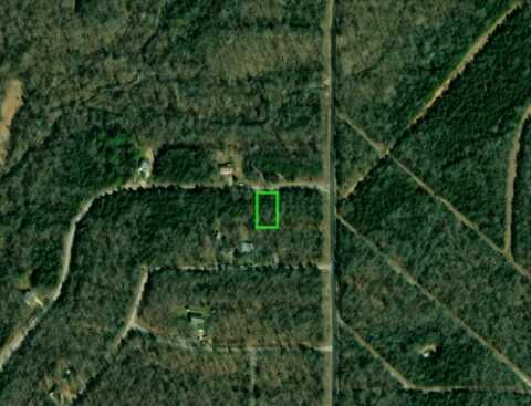 1005 Pinocchio DR, Horseshoe Bend, AR 72512