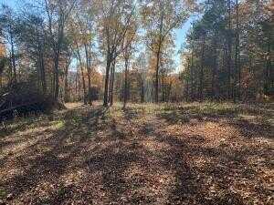 1 NC 4055 RD, Western Grove, AR 72685