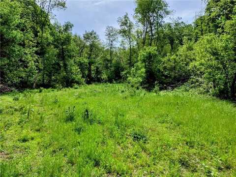 6.38 Acres Shady Black Oak WY, Decatur, AR 72722