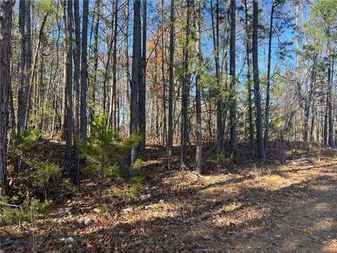 Lot 2 tbd NC 3015, Jasper, AR 72641