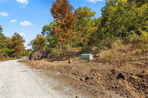 Lot 117 Significance Summit, Harrison, AR 72601