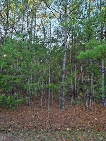 Lot 5, Block 4 Claypole LN, Bella Vista, AR 72715