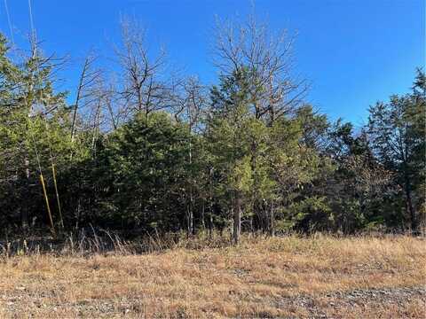 40 Danube DR, Holiday Island, AR 72631