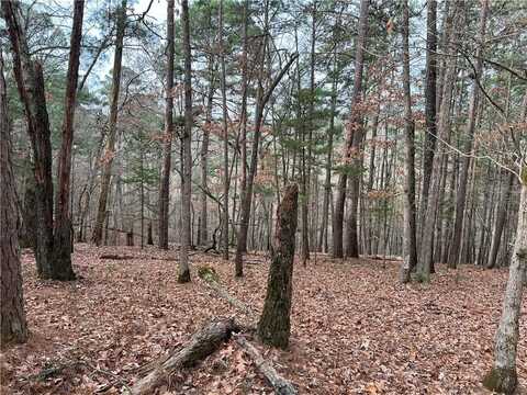 Elzey's RD, Rogers, AR 72756