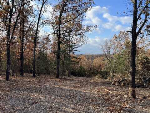 10.14 AC Jackson Ridge, Omaha, AR 72662