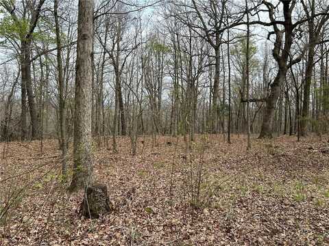 TBD Mortensen RD, Lincoln, AR 72744