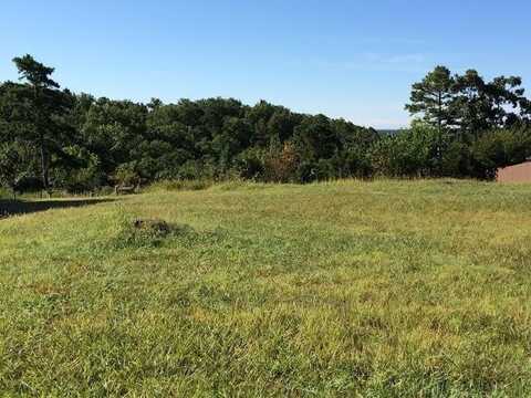 8 W Bluff LN, Holiday Island, AR 72631