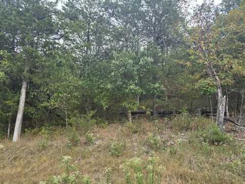 18 Hillside DR, Holiday Island, AR 72631