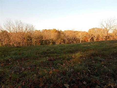 Lot 10 Stagecoach DR, Pineville, MO 64856