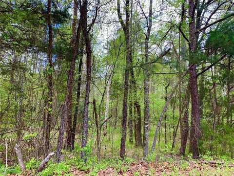 Jabali WY, Hot Springs, AR 71909