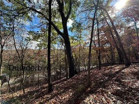 Lot 13 Thunderbird DR, Holiday Island, AR 72631