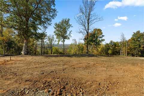 Lot 103 Peaceful PL, Harrison, AR 72601