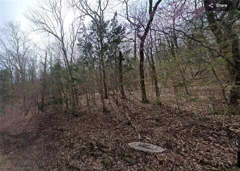 Unit 6-13-13 Wild Turkey DR, Holiday Island, AR 72631