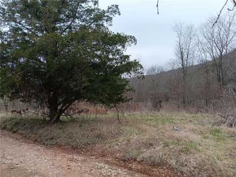 530 Cr-605, Green Forest, AR 72638