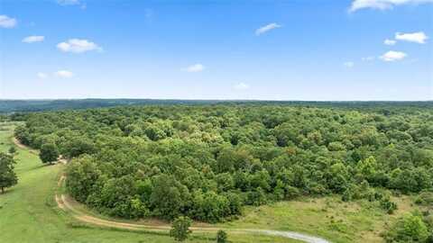 26.24 Acres Styles RD, Noel, MO 64854