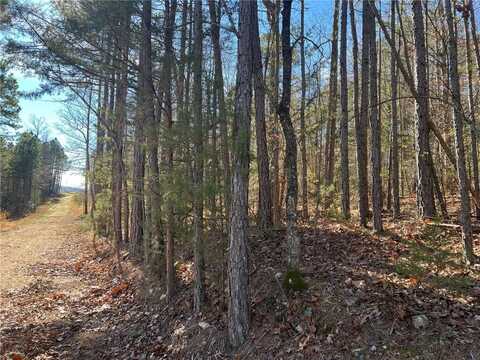 Lot 1 TBD NC 3015, Jasper, AR 72641