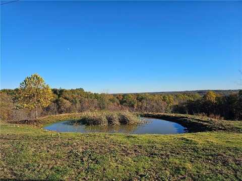 15.94 Acres Hwy 23 & Madison 1000, Huntsville, AR 72740