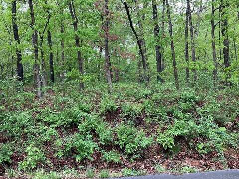 Sidlaw Hills DR, Bella Vista, AR 72715