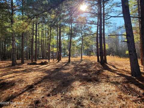 Tbd Crestline Road, Laurinburg, NC 28352