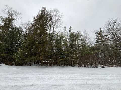 Lot 391 Balsam Drive, Presque Isle, MI 49777