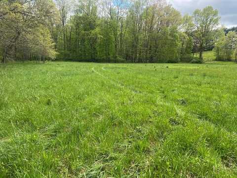 COUNTRY WOODS ROAD, CRAWLEY, WV 24931