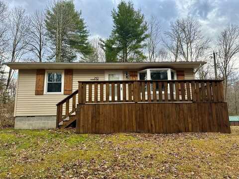 250 DONZIE LANE, COOL RIDGE, WV 25825