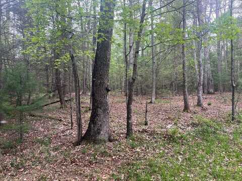 Lot 3 ASBURY TRACE, LEWISBURG, WV 24901