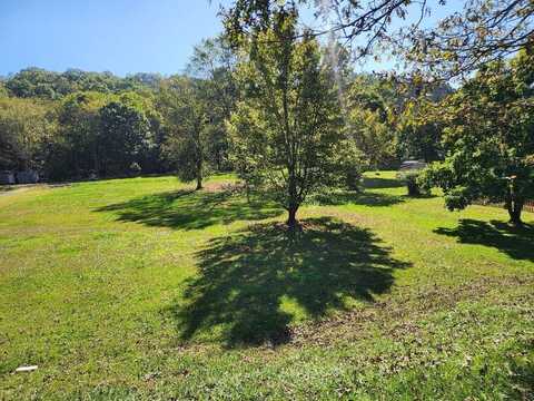 COAL RIVER ROAD, GLEN DANIEL, WV 25844