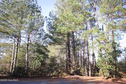 Lot 13 Sykes Street, Tabor City, NC 28463