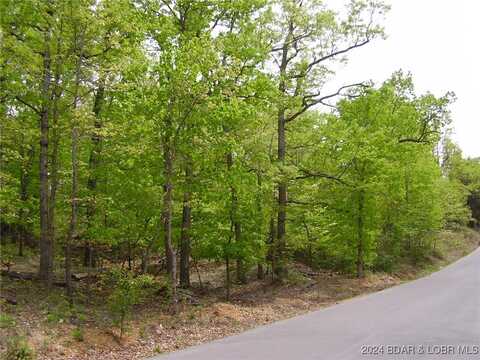 LOT #22 Layman Avenue, Camdenton, MO 65020