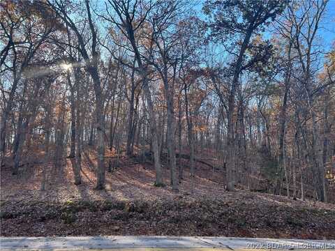 Dogwood Road lot: 46, Four Seasons, MO 65049
