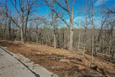 Craftsman Drive lot: 30, Camdenton, MO 65020