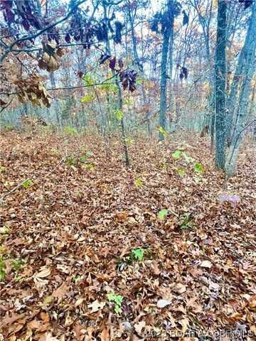 Illinois Lane lot: 164, Rocky Mount, MO 65072