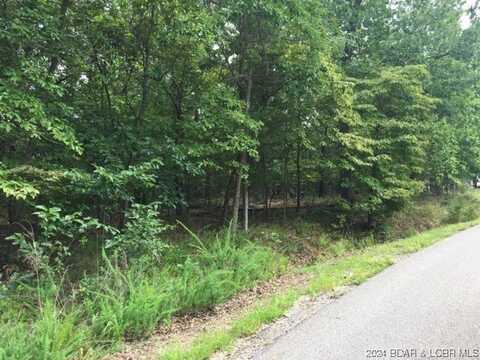 448 Pier Thirty-One Road, Camdenton, MO 65020