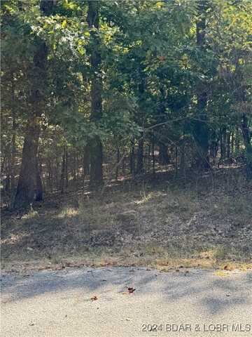 Salem Drive lot: 1093, Four Seasons, MO 65049