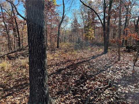 Partridge Drive, Climax Springs, MO 65324